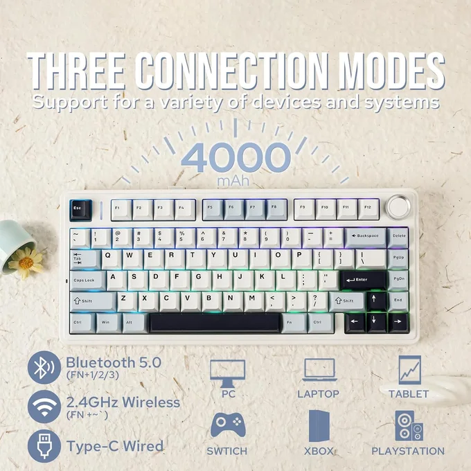AULA F75 Glacier Blue Wireless [Reaper Switch] 2